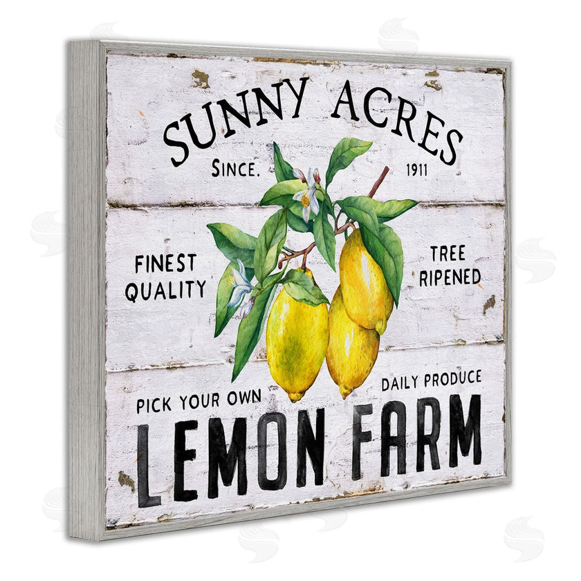 Creatif Belle | Sunny Acres Lemon Farm