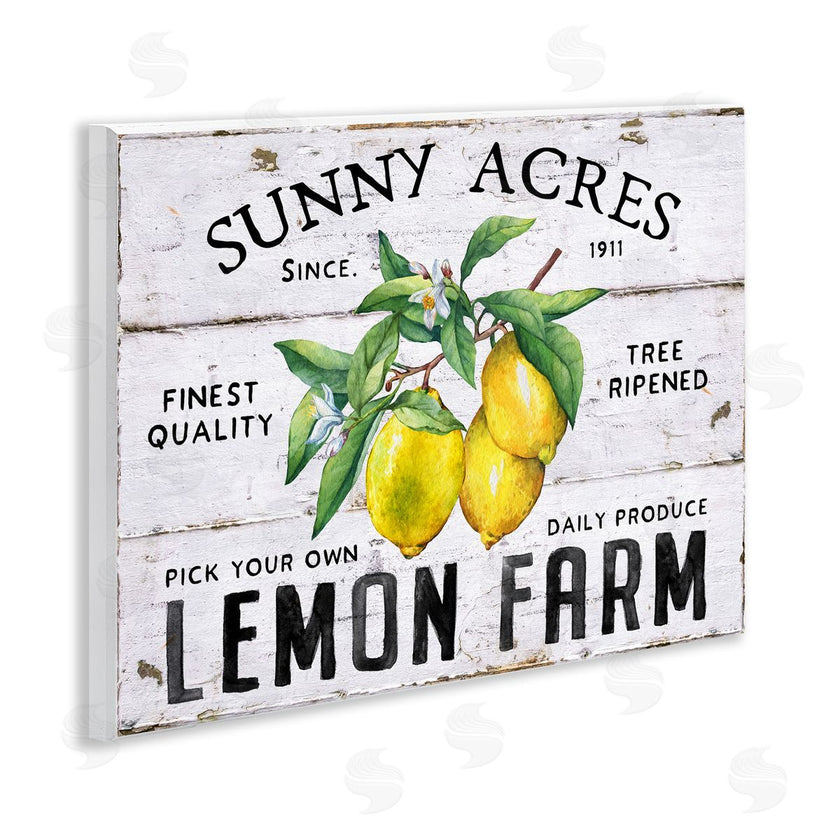 Creatif Belle | Sunny Acres Lemon Farm