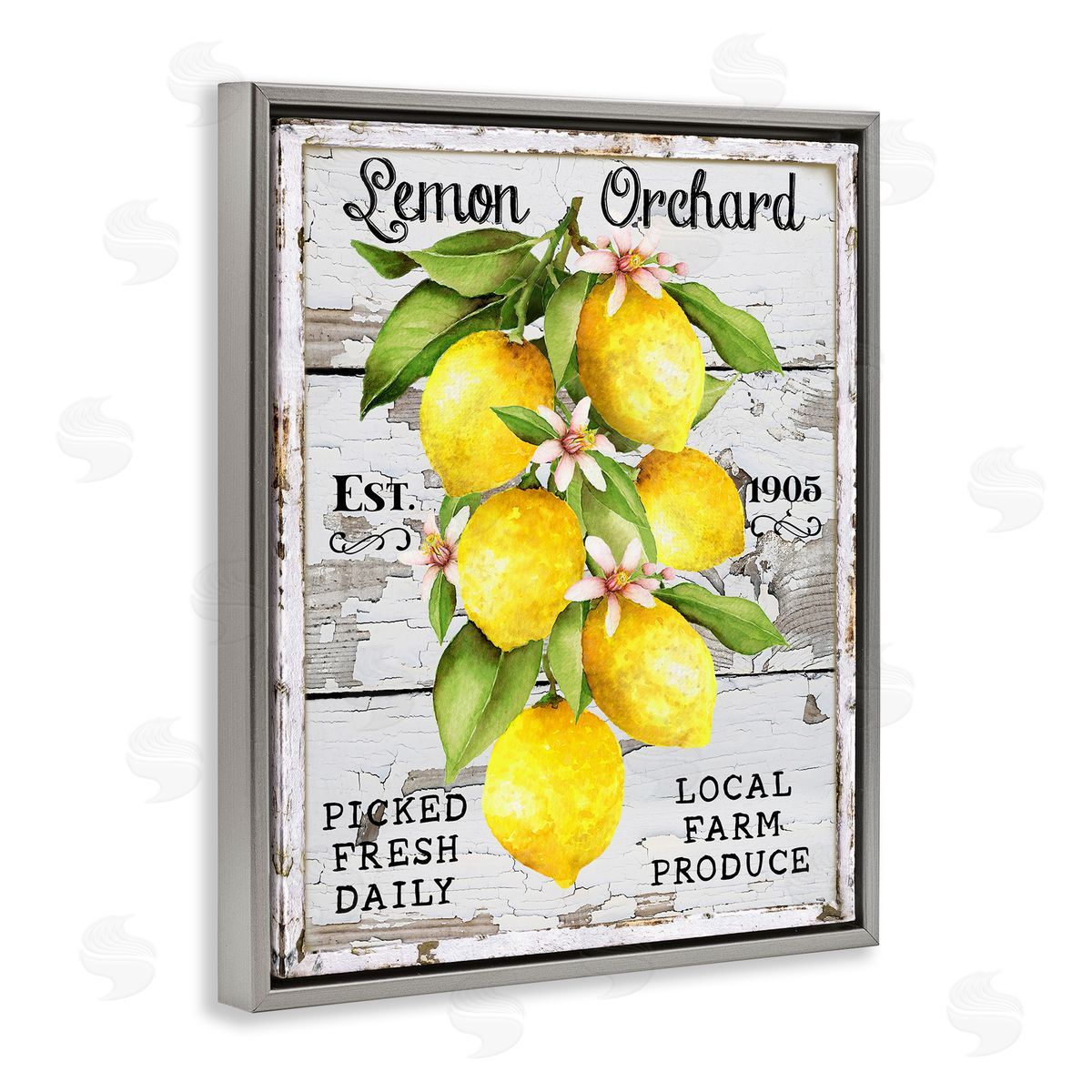 Lemon Orchard Market Grey Floating Frame Canvas Wall Art, Home Decor by Creatif Belle