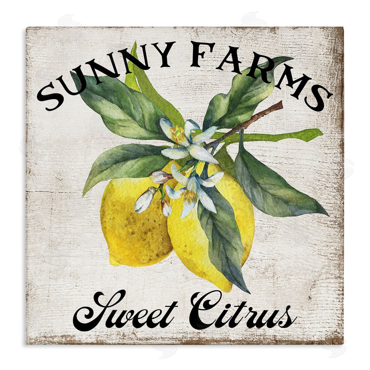 Sunny Farms Sweet Lemon Canvas Wall Art, Home Decor by Creatif Belle