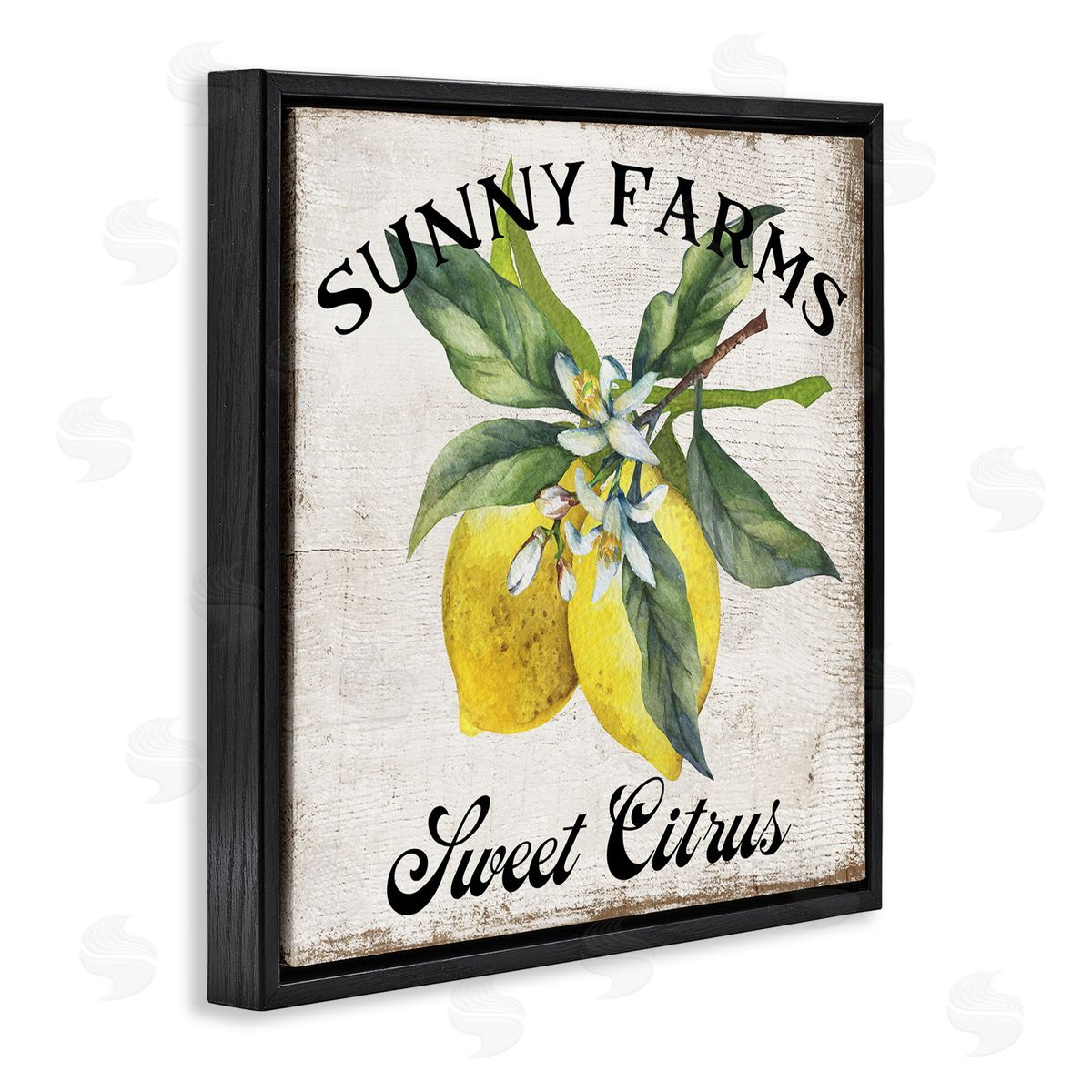 Sunny Farms Sweet Lemon Black Floating Frame Canvas Wall Art, Home Decor by Creatif Belle