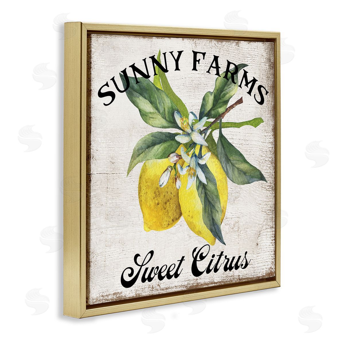 Sunny Farms Sweet Lemon Gold Floating Frame Canvas Wall Art, Home Decor by Creatif Belle