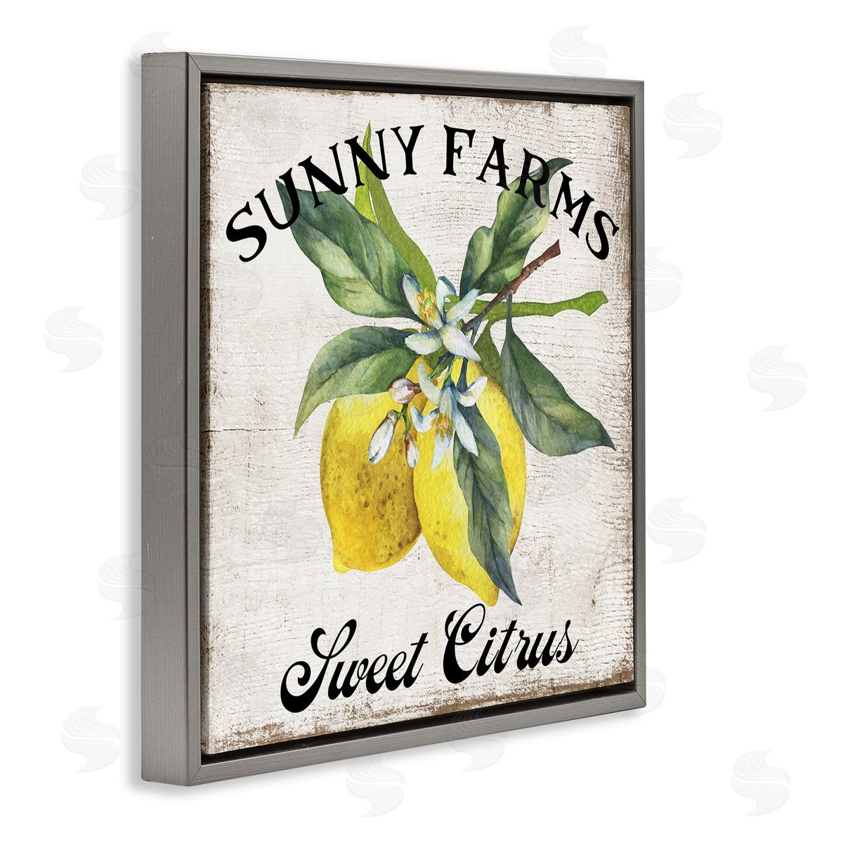 Sunny Farms Sweet Lemon Grey Floating Frame Canvas Wall Art, Home Decor by Creatif Belle