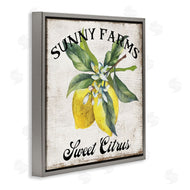 Creatif Belle | Sunny Farms Sweet Lemon
