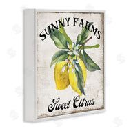 Creatif Belle | Sunny Farms Sweet Lemon