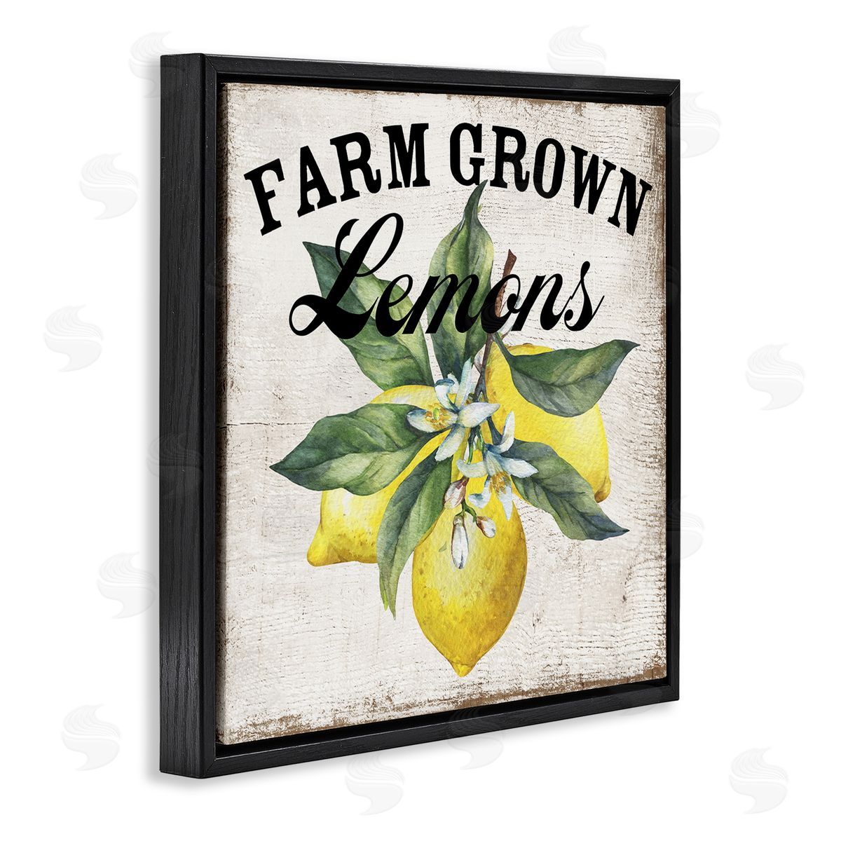 Farm Grown Lemons Black Floating Frame Canvas Wall Art, Home Decor by Creatif Belle