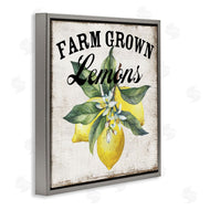 Creatif Belle | Farm Grown Lemons