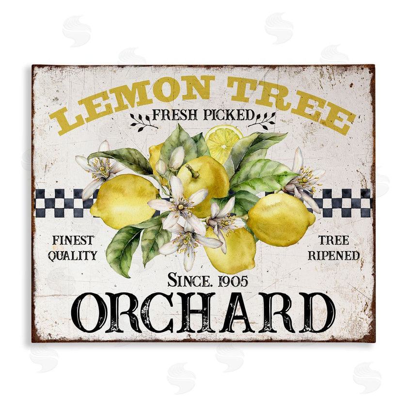 Creatif Belle | Lemon Tree Fresh Picked