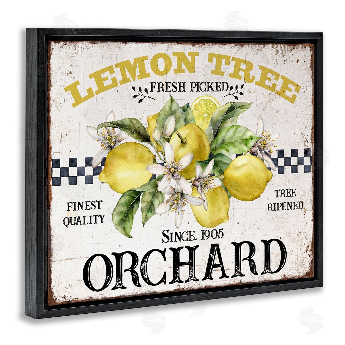 Lemon Tree Fresh Picked Black Floating Frame Canvas Wall Art, Home Decor by Creatif Belle