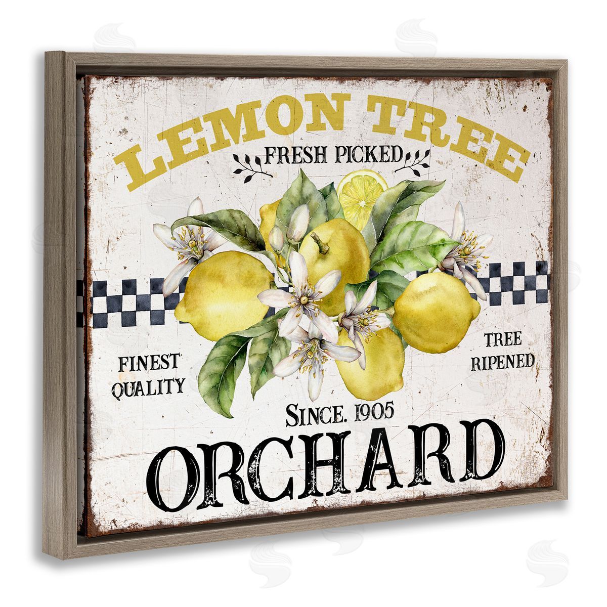 Lemon Tree Fresh Picked Brown Floating Frame Canvas Wall Art, Home Decor by Creatif Belle