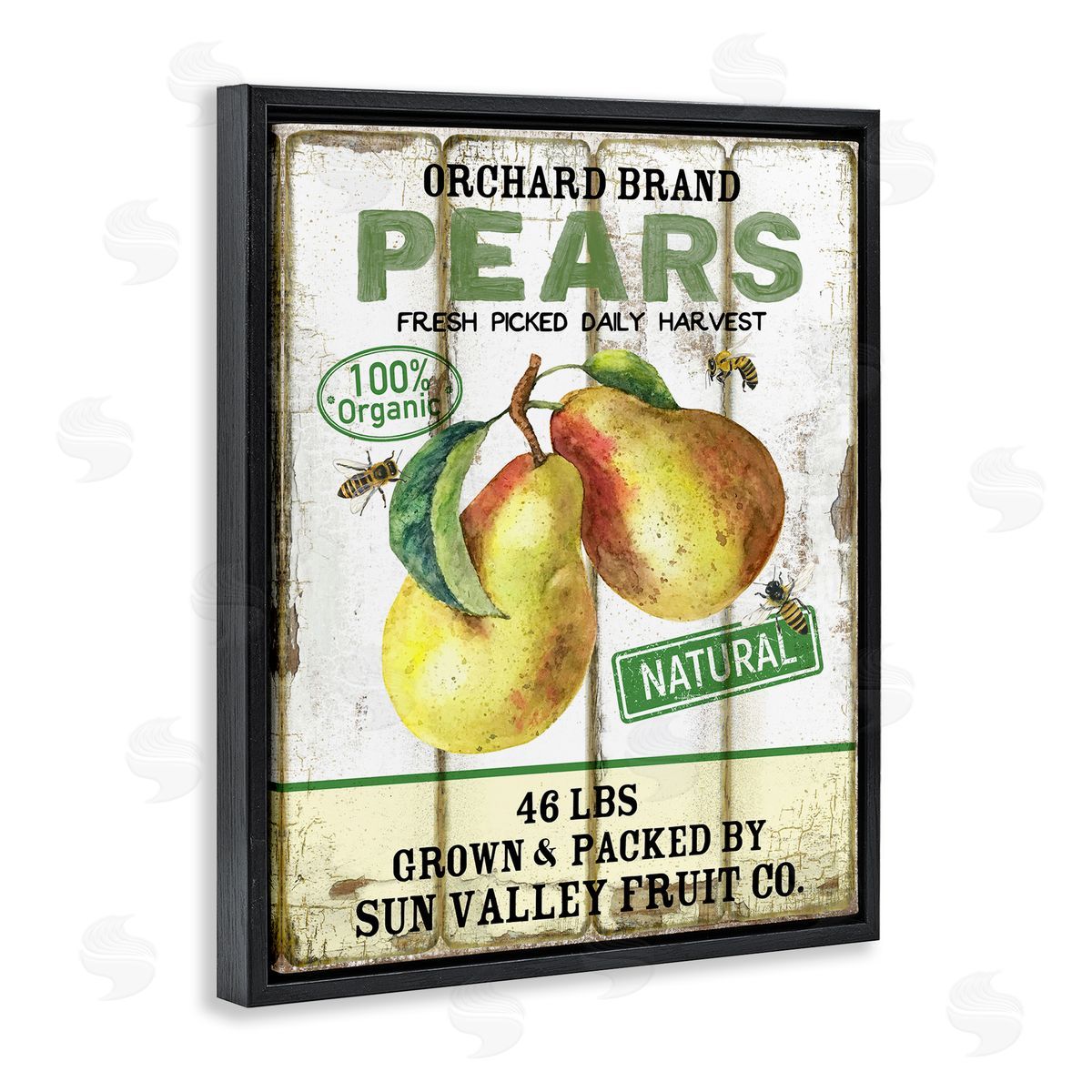 Farm Orchard Pears Black Floating Frame Canvas Wall Art, Home Decor by Creatif Belle