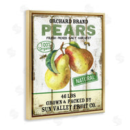 Creatif Belle | Farm Orchard Pears