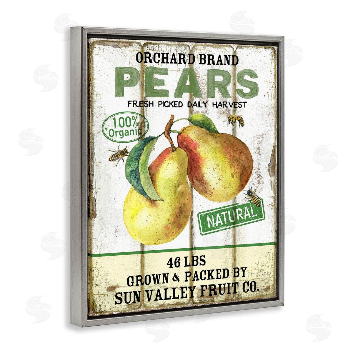 Farm Orchard Pears Grey Floating Frame Canvas Wall Art, Home Decor by Creatif Belle