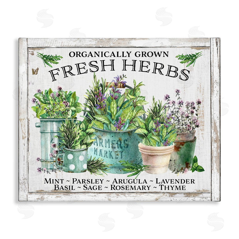 Creatif Belle | Organic Fresh Herbs