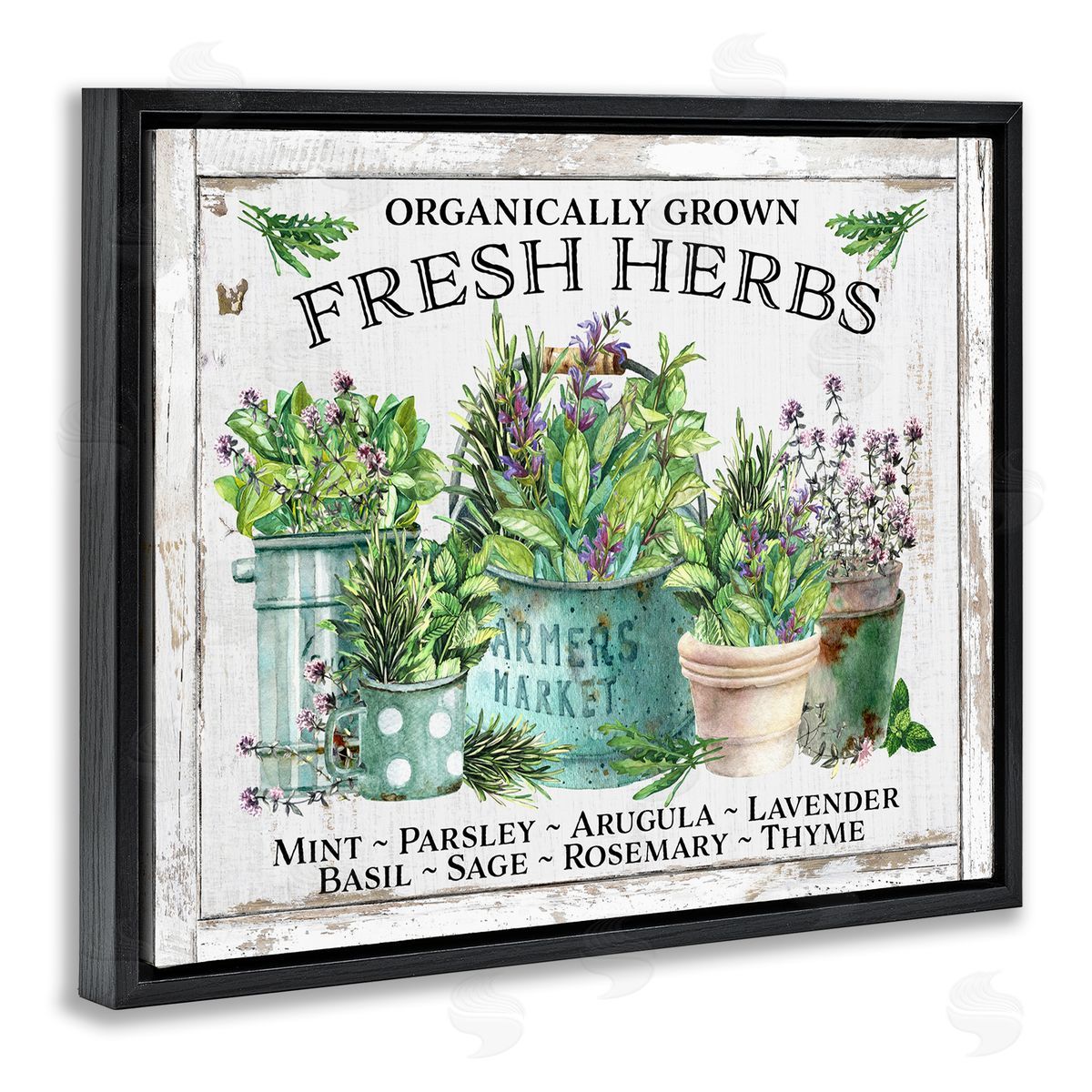 Organic Fresh Herbs Black Floating Frame Canvas Wall Art, Home Decor by Creatif Belle