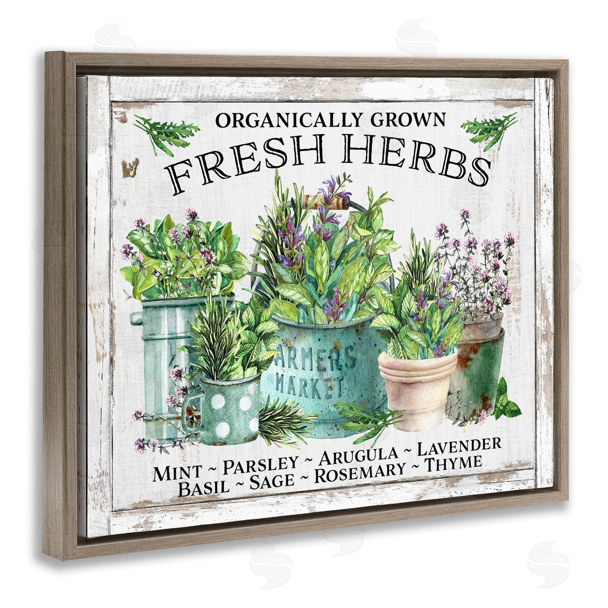 Organic Fresh Herbs Brown Floating Frame Canvas Wall Art, Home Decor by Creatif Belle