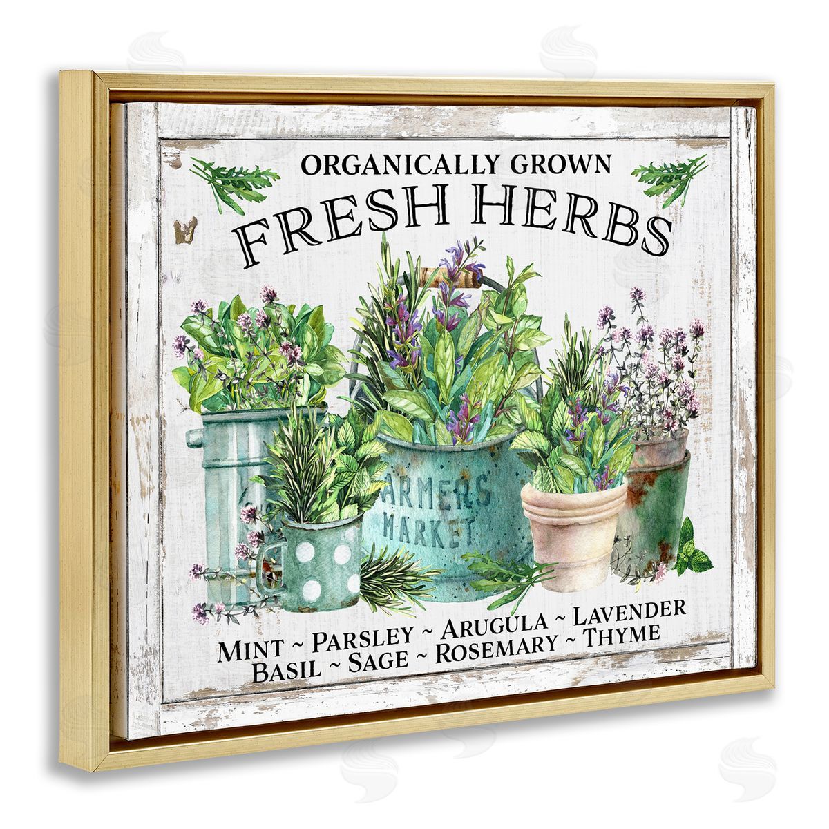 Organic Fresh Herbs Gold Floating Frame Canvas Wall Art, Home Decor by Creatif Belle