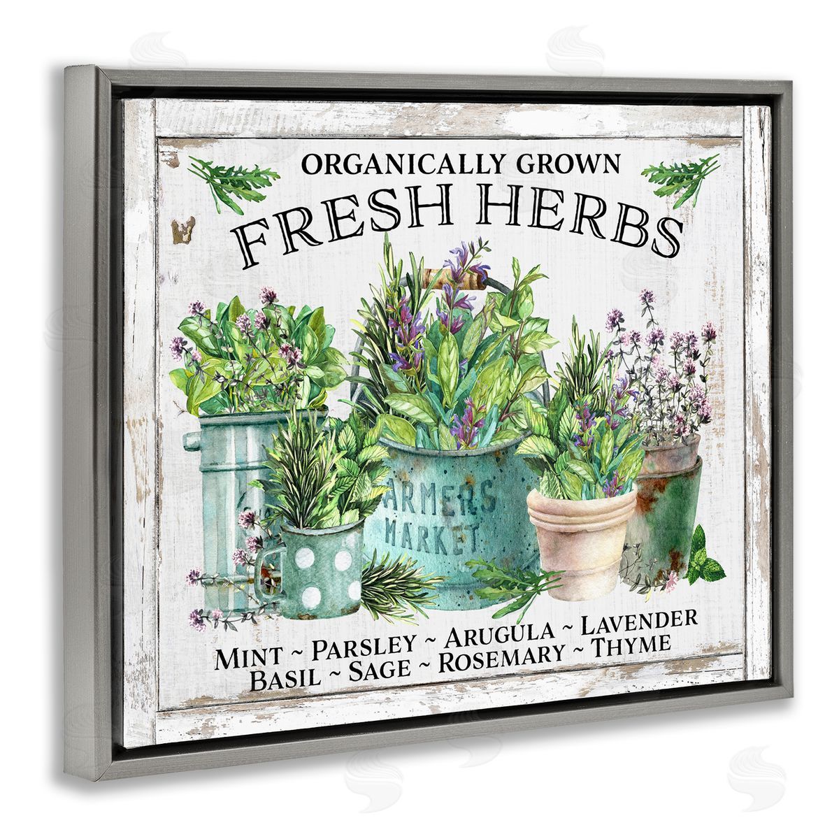 Organic Fresh Herbs Grey Floating Frame Canvas Wall Art, Home Decor by Creatif Belle