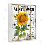 Creatif Belle | Organic Sunflower Farm