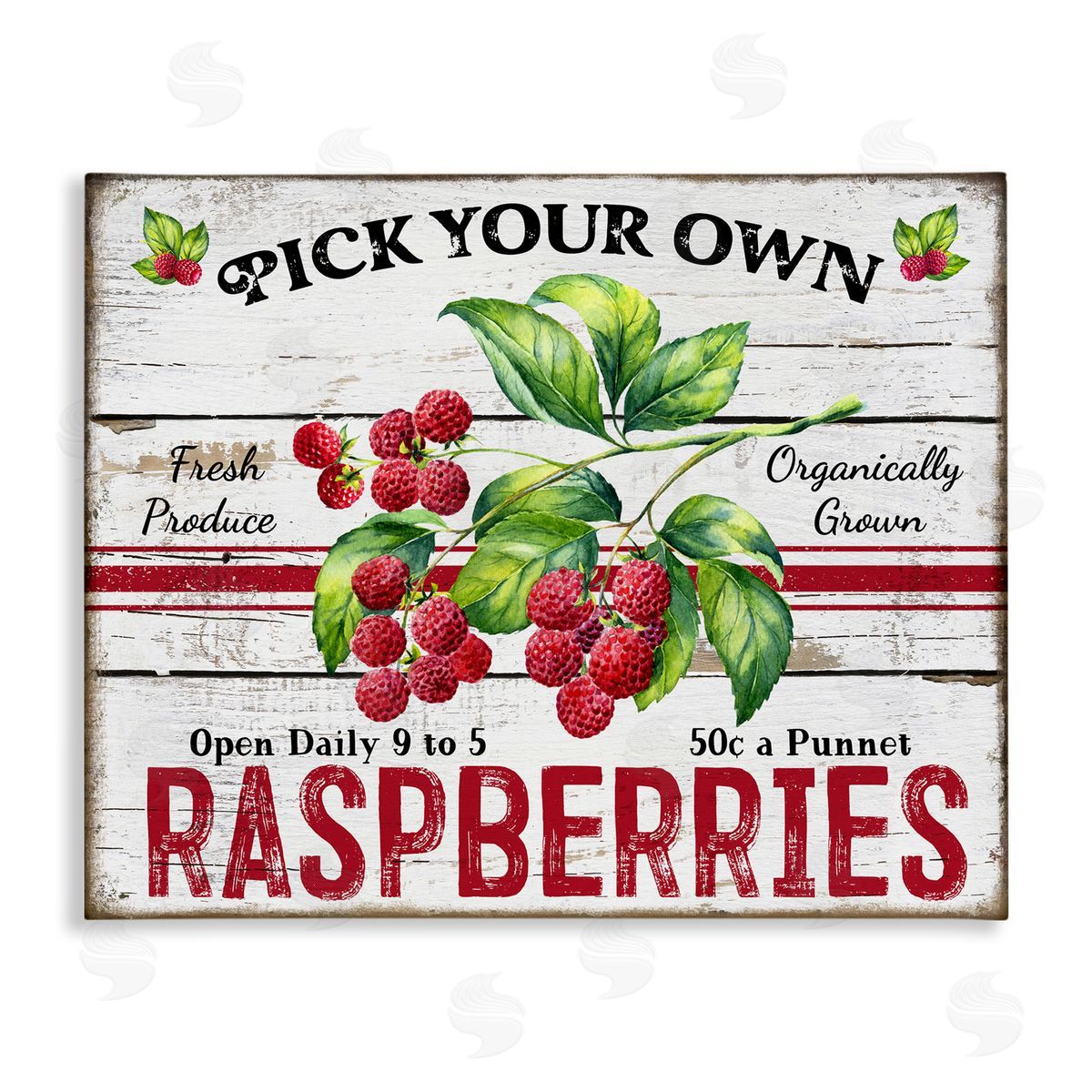 Pick Your Own Raspberries Canvas Wall Art, Home Decor by Creatif Belle