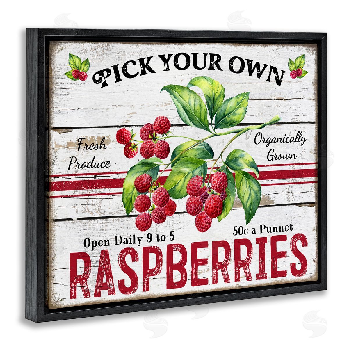 Pick Your Own Raspberries Black Floating Frame Canvas Wall Art, Home Decor by Creatif Belle