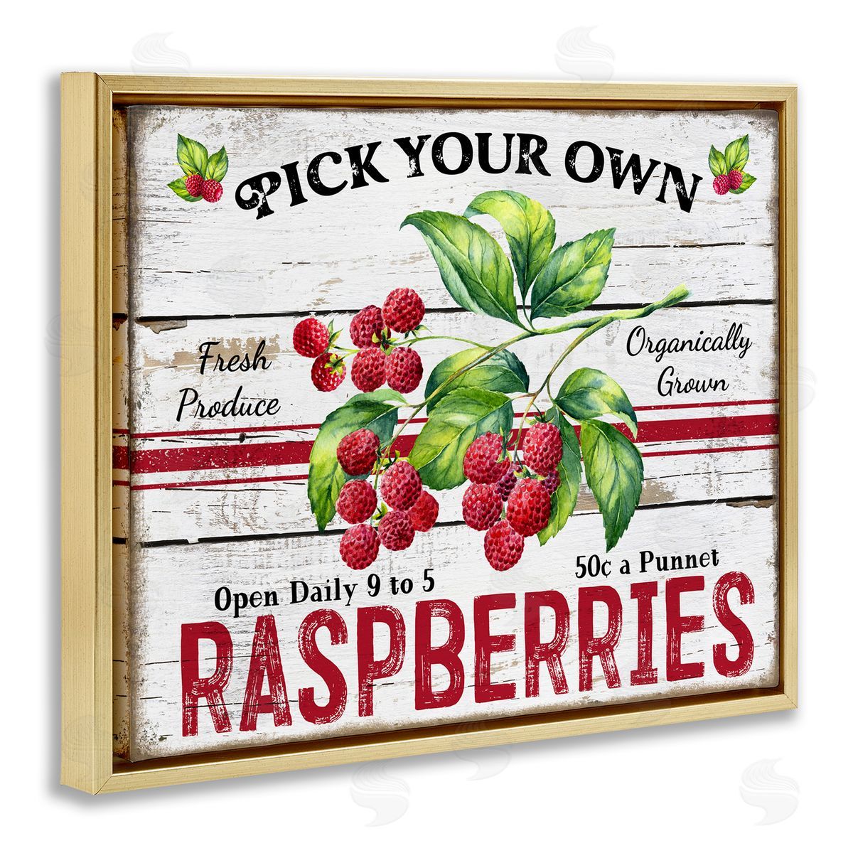 Pick Your Own Raspberries Gold Floating Frame Canvas Wall Art, Home Decor by Creatif Belle