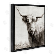 Danita Delimont | Black & White Highland Cow