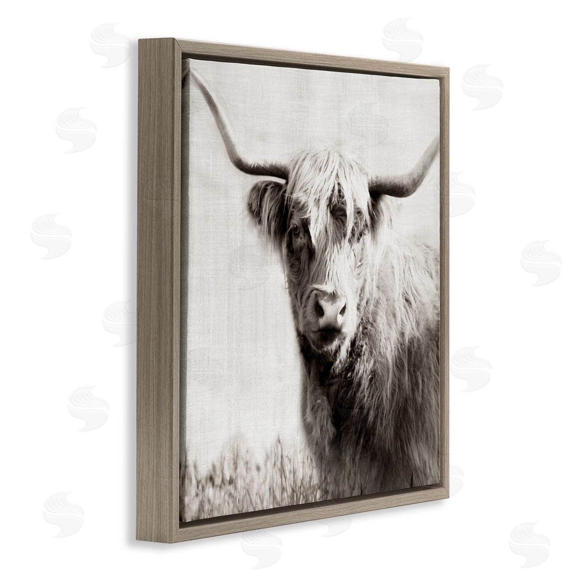 Black & White Highland Cow Brown Floating Frame Canvas Wall Art, Home Decor by Danita Delimont