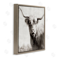Danita Delimont | Black & White Highland Cow