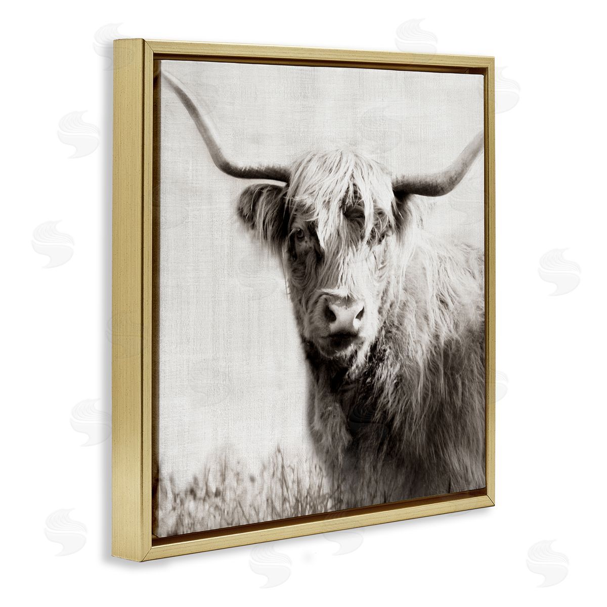 Black & White Highland Cow Gold Floating Frame Canvas Wall Art, Home Decor by Danita Delimont