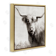 Danita Delimont | Black & White Highland Cow