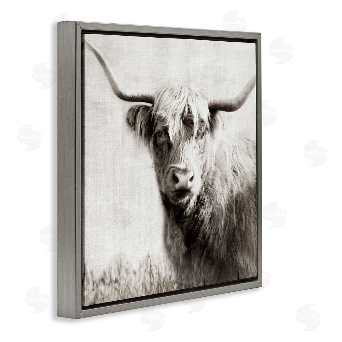 Black & White Highland Cow Grey Floating Frame Canvas Wall Art, Home Decor by Danita Delimont