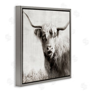 Danita Delimont | Black & White Highland Cow
