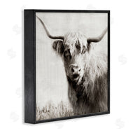 Danita Delimont | Black & White Highland Cow