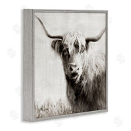 Danita Delimont | Black & White Highland Cow