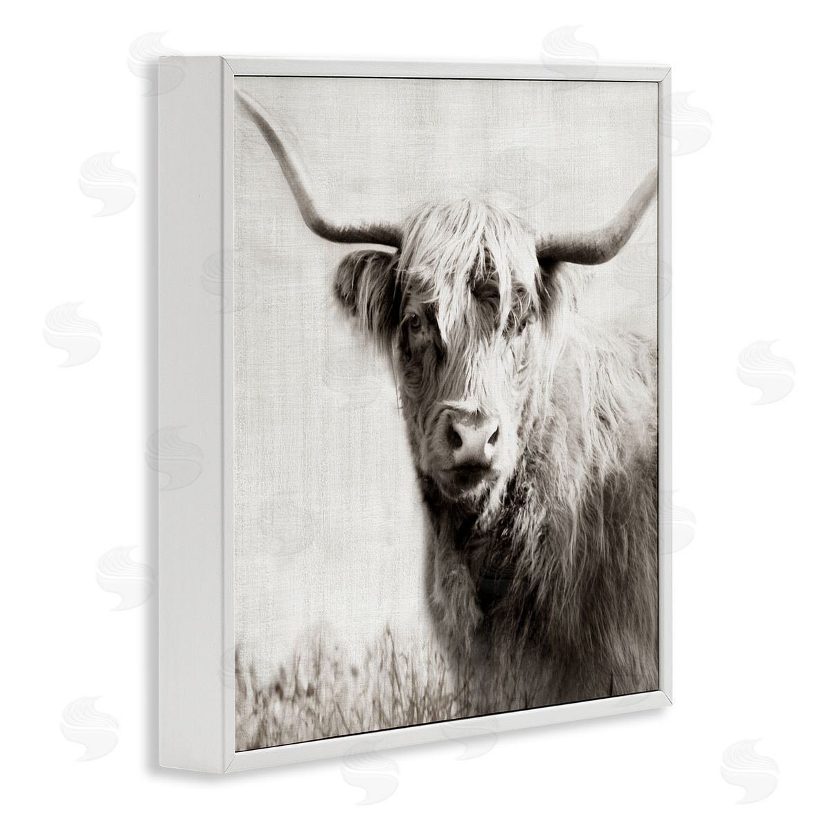 Black & White Highland Cow White Frame Print Wall Art, Home Decor by Danita Delimont