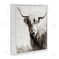 Danita Delimont | Black & White Highland Cow