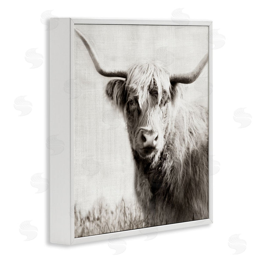 Danita Delimont | Black & White Highland Cow