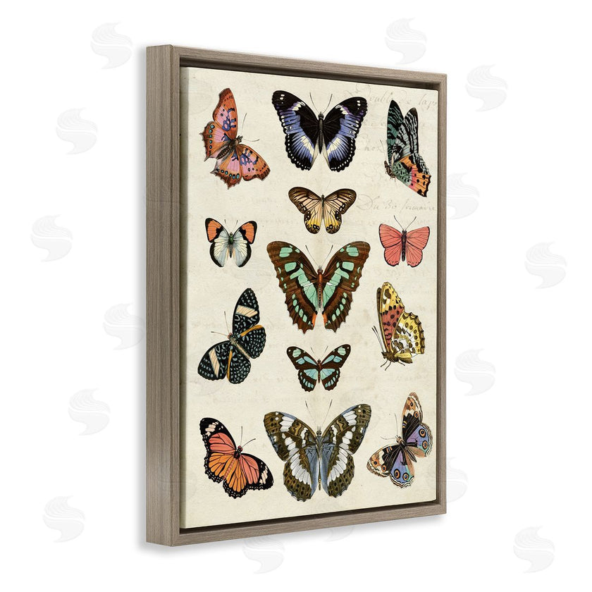 Susan Arnot | Vintage Butterfly Breeds