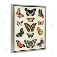 Susan Arnot | Vintage Butterfly Breeds