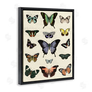 Susan Arnot | Varied Vintage Butterflies