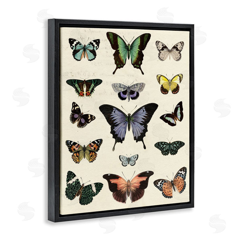 Susan Arnot | Varied Vintage Butterflies