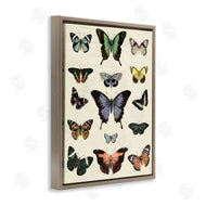 Susan Arnot | Varied Vintage Butterflies