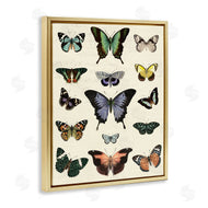 Susan Arnot | Varied Vintage Butterflies
