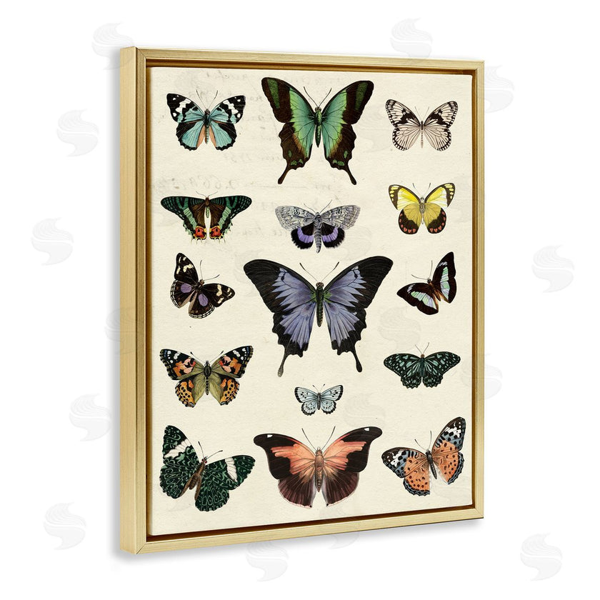 Susan Arnot | Varied Vintage Butterflies