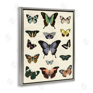 Susan Arnot | Varied Vintage Butterflies