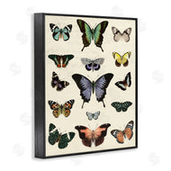 Susan Arnot | Varied Vintage Butterflies