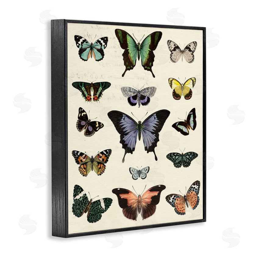 Susan Arnot | Varied Vintage Butterflies