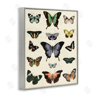 Susan Arnot | Varied Vintage Butterflies