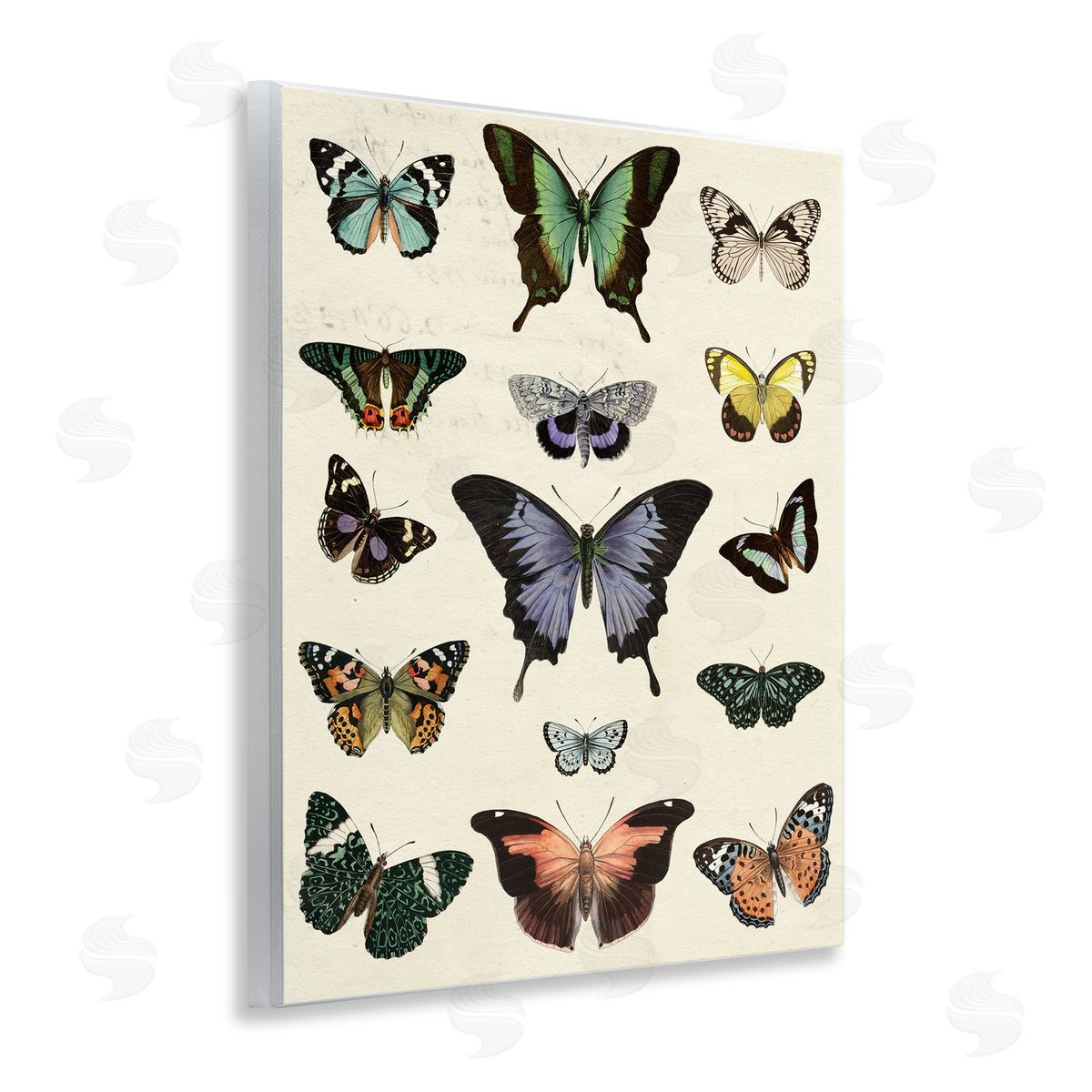 Varied Vintage Butterflies Wood Plaque Wall Art, Home Decor by Susan Arnot